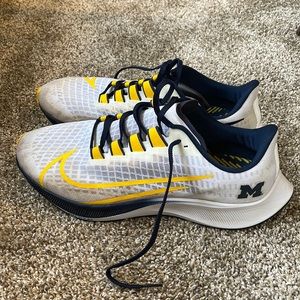 University of Michigan Pegasus Running Shoes